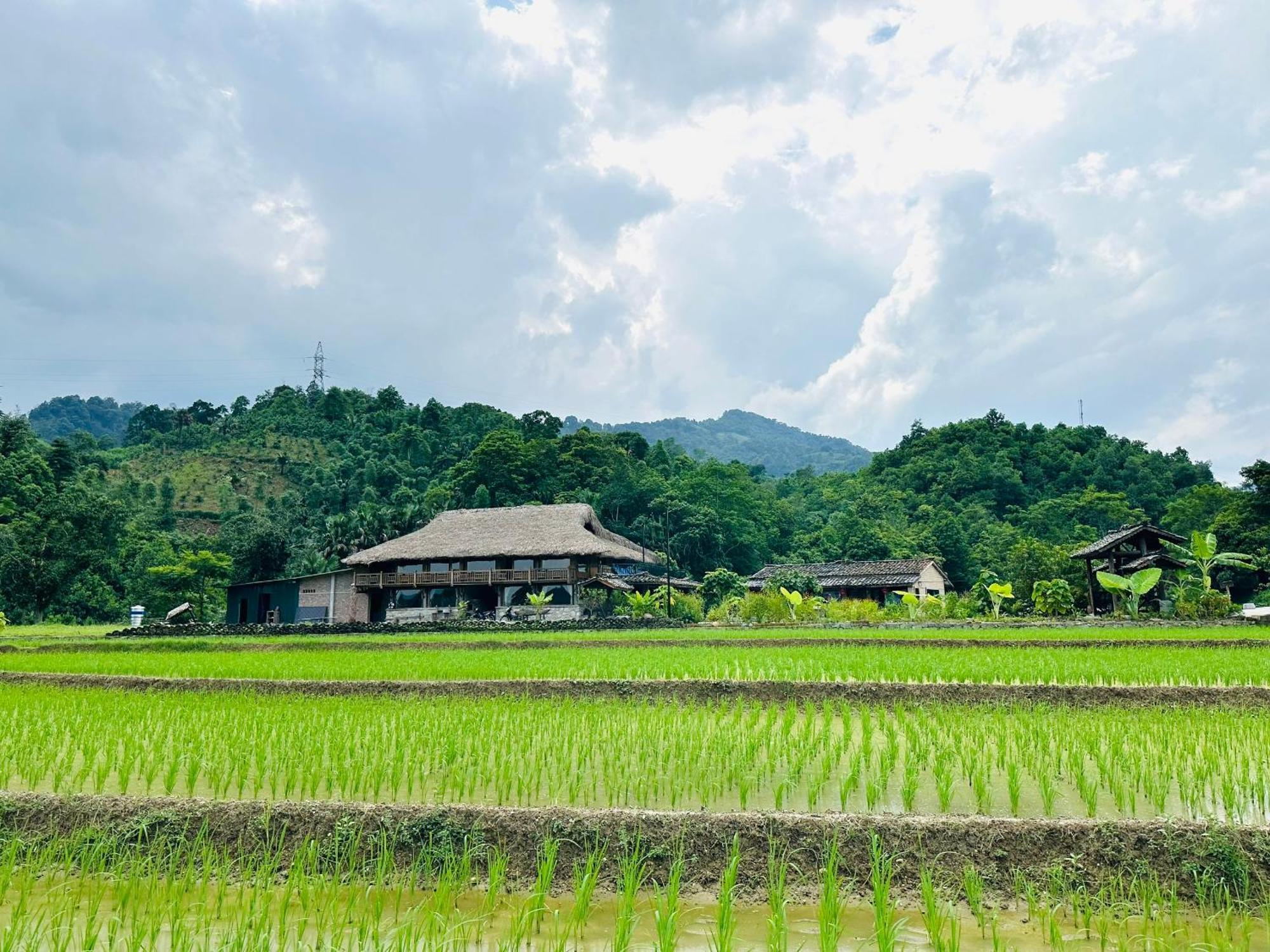 Ban Bang Ecolodge Tours & Motorbike Rental ห่าซาง ภายนอก รูปภาพ